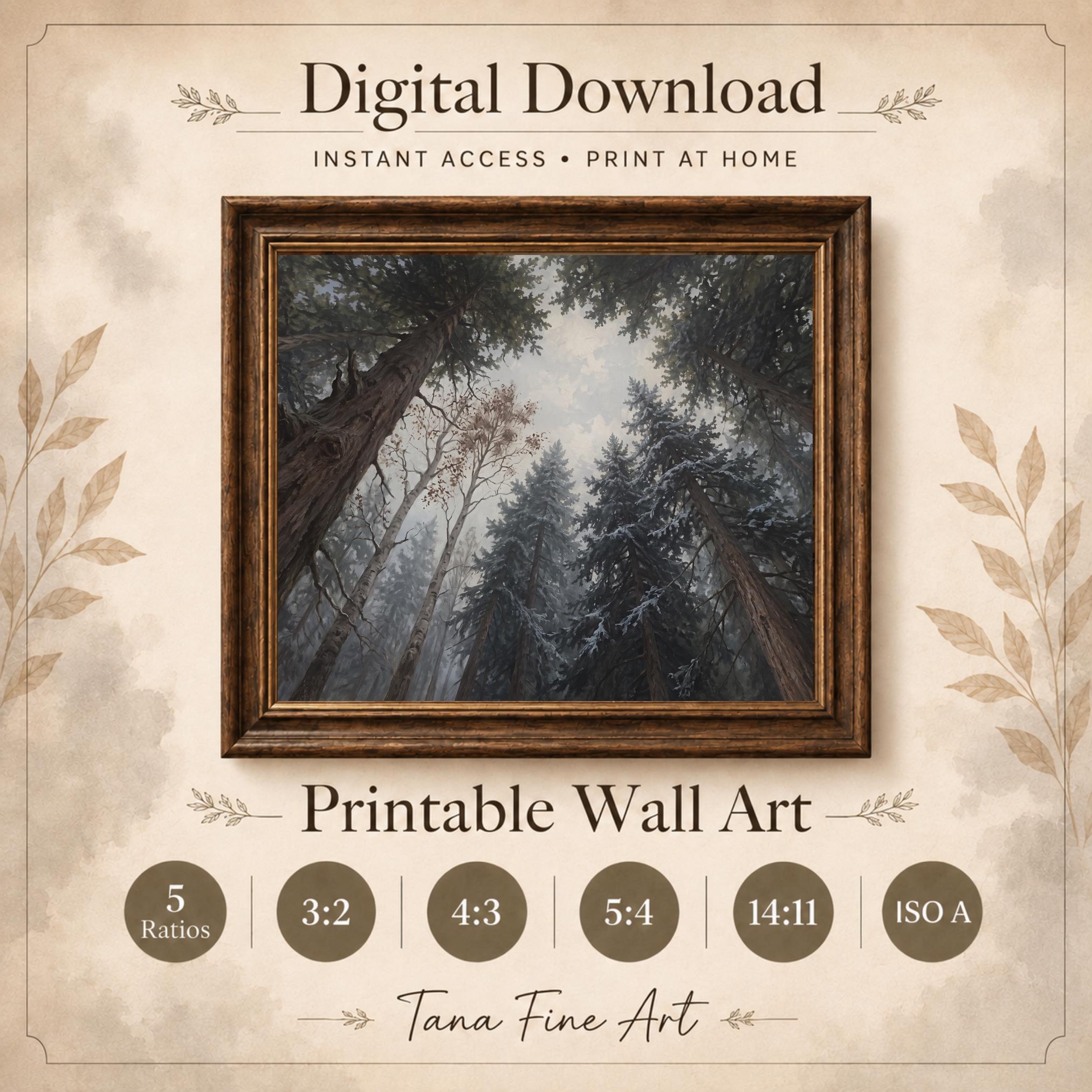 Snowy Pine Forest Canopy Wall Art, Moody Woodland Landscape, Rustic Cabin Decor Digital Download — image 7