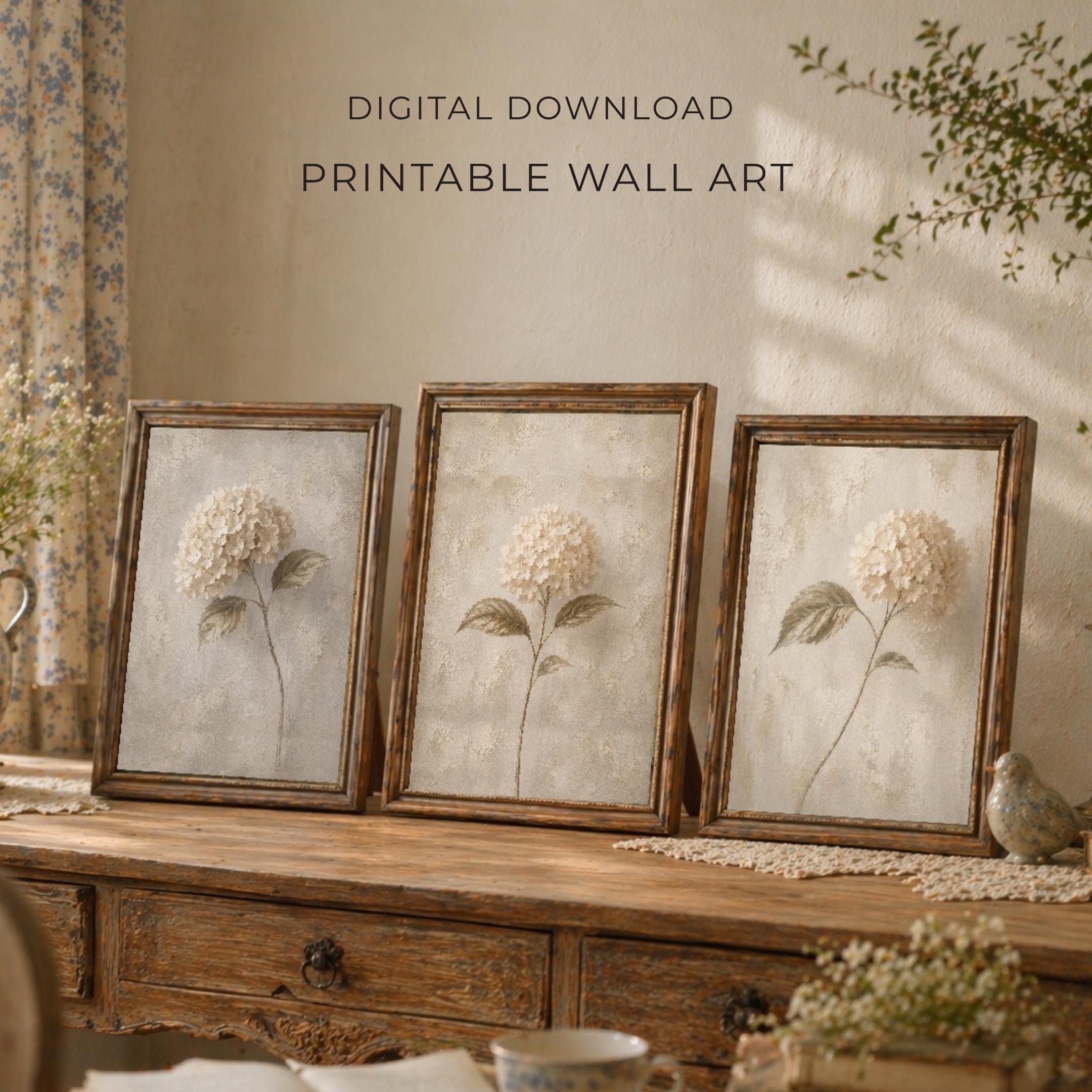 Pale Hydrangea Botanical Studies — Set of 3 — image 3