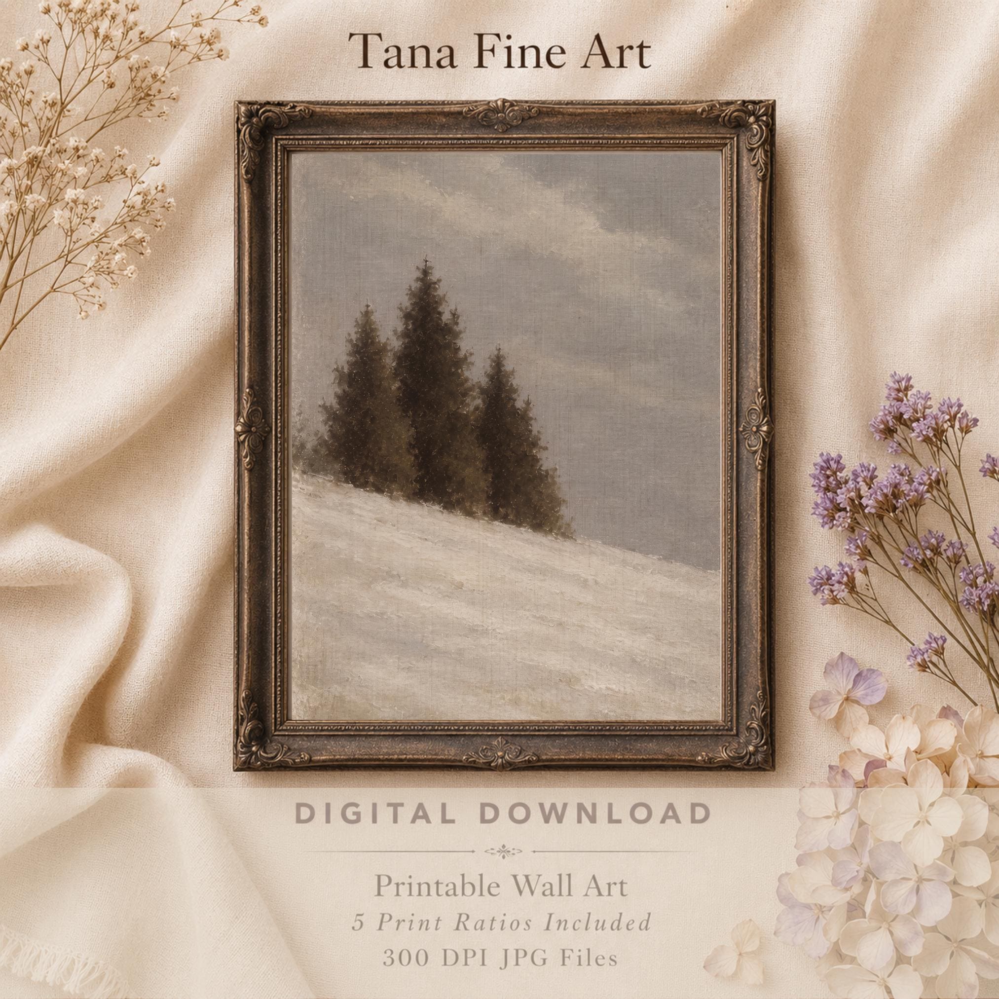 Evergreens on the Winter Slope — image 5