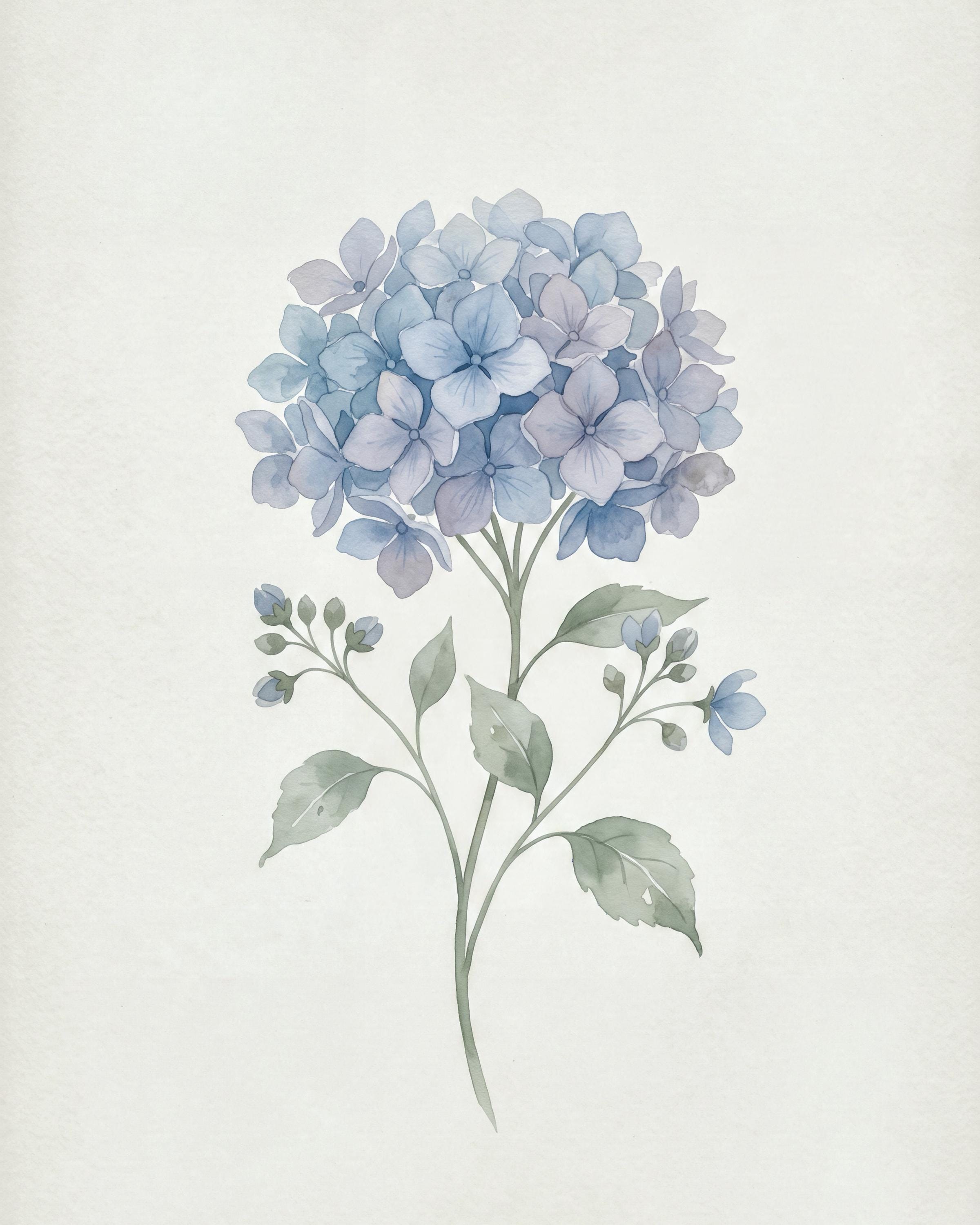 Blue Hydrangea Botanical Print, Minimal Watercolor Flower Wall Art, Soft Cottage Decor (Digital Download) — image 2
