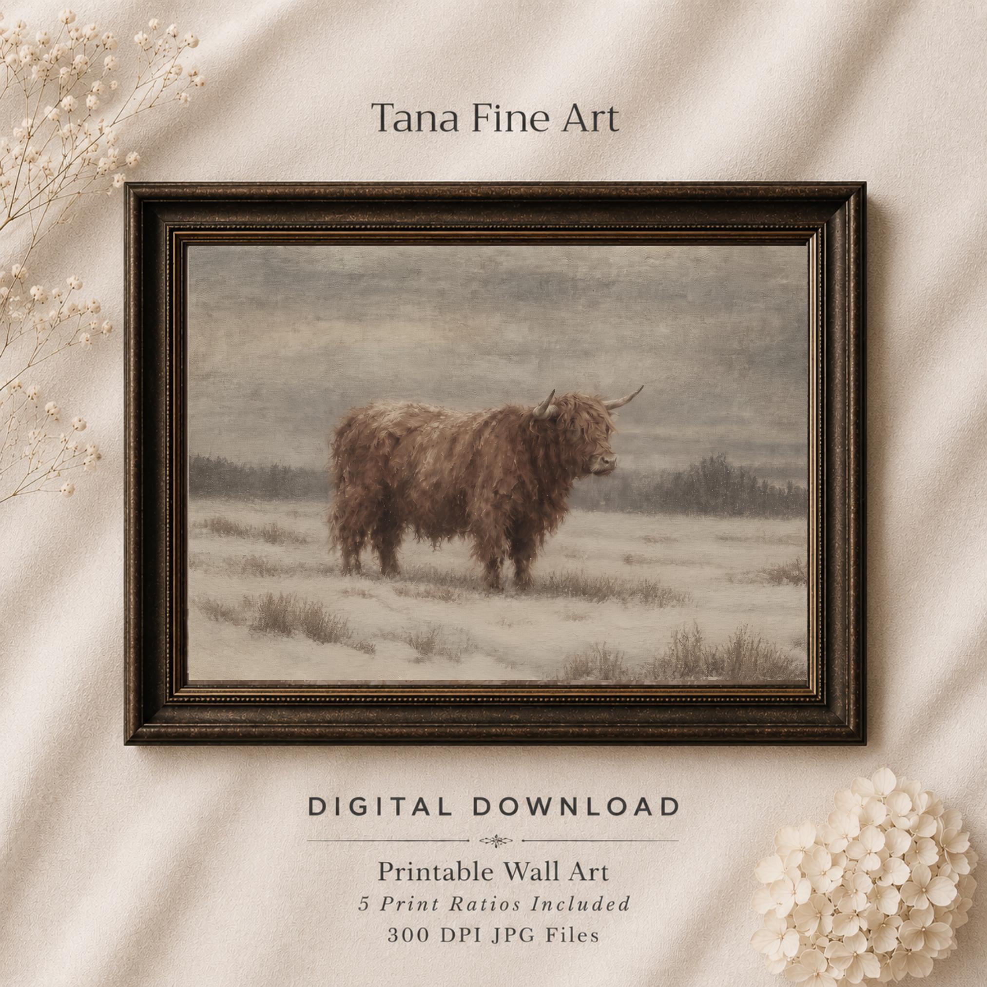 Highland Cow in a Winter Field — image 9