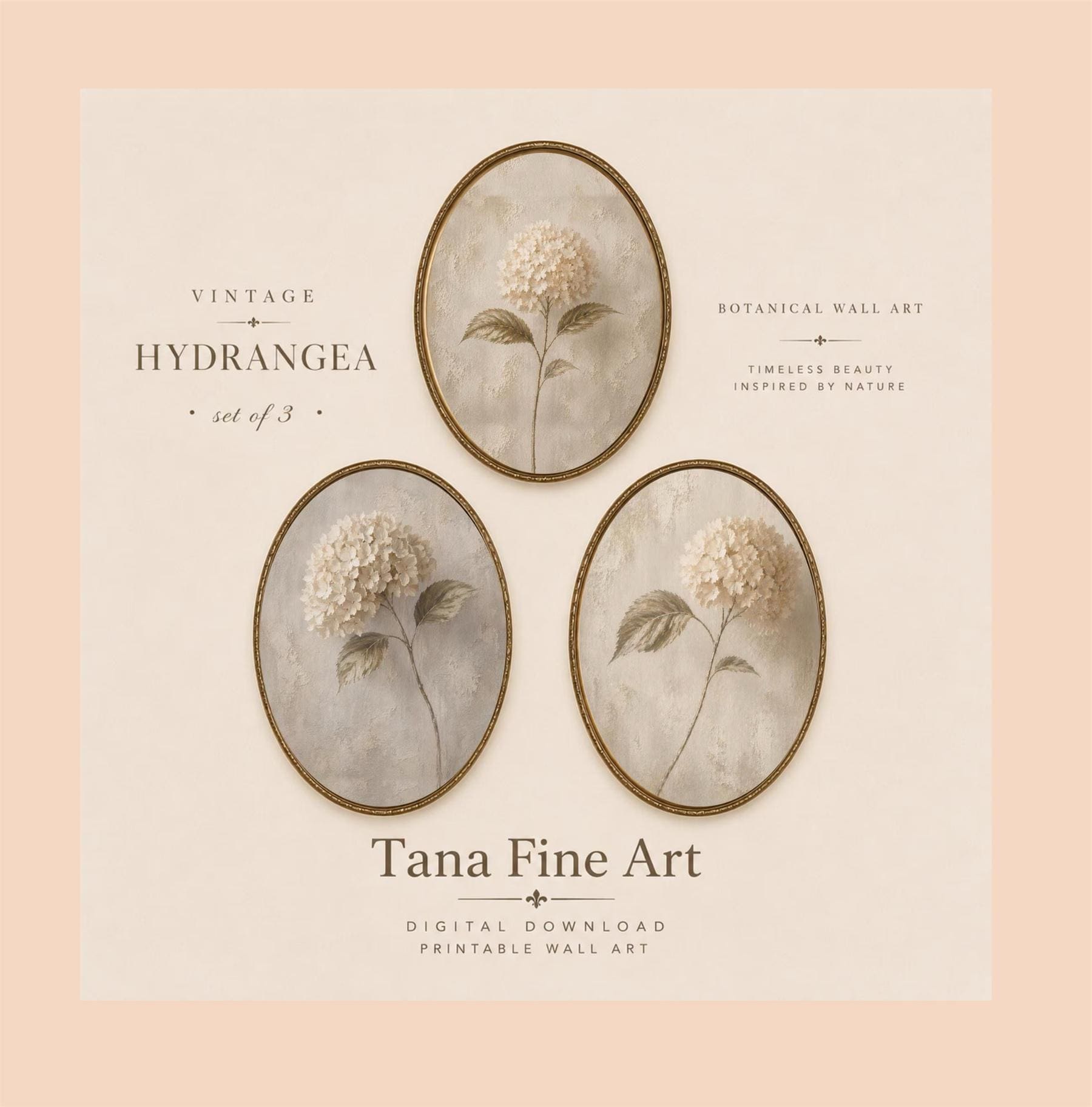 Pale Hydrangea Botanical Studies — Set of 3