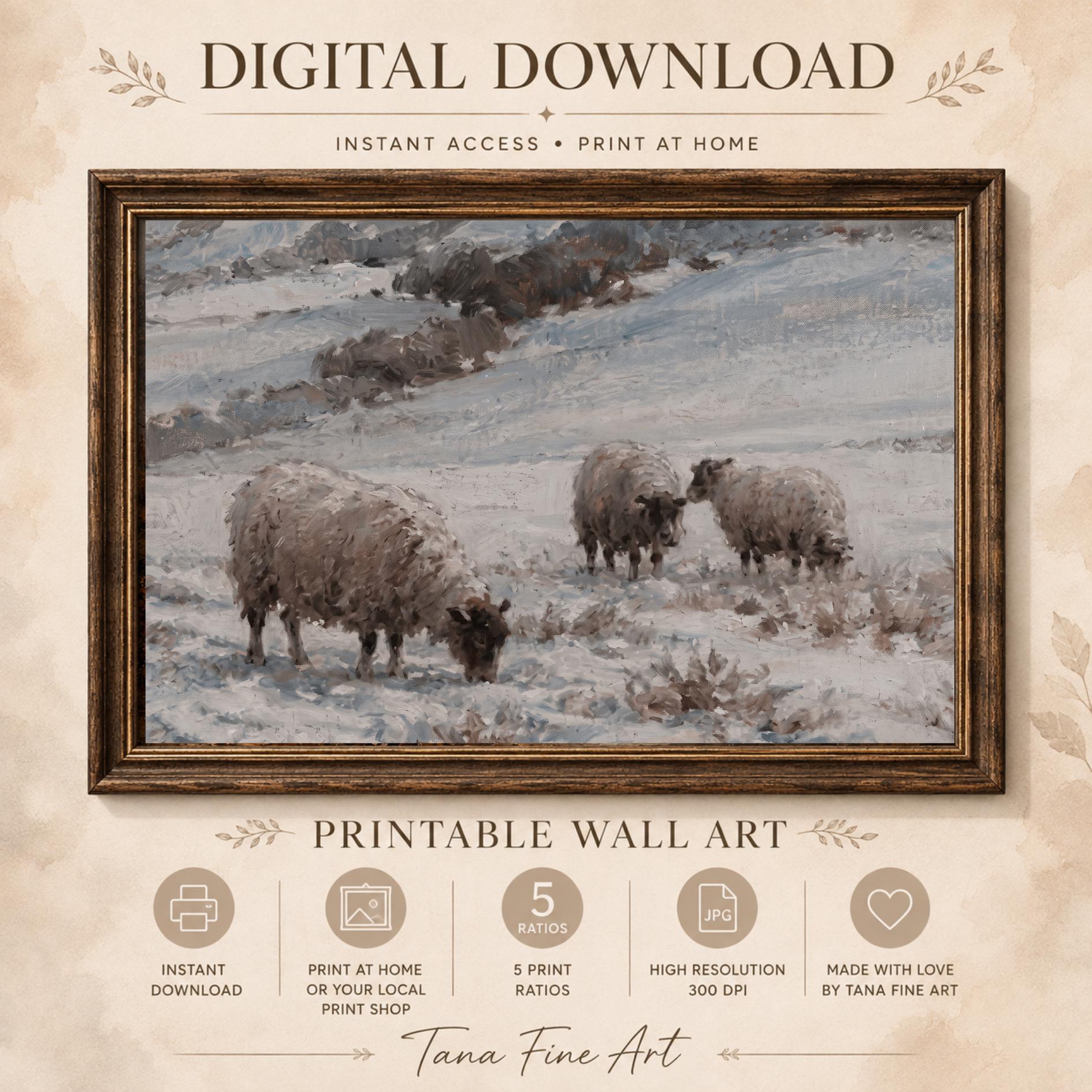 Three Sheep in the Winter Field — image 7