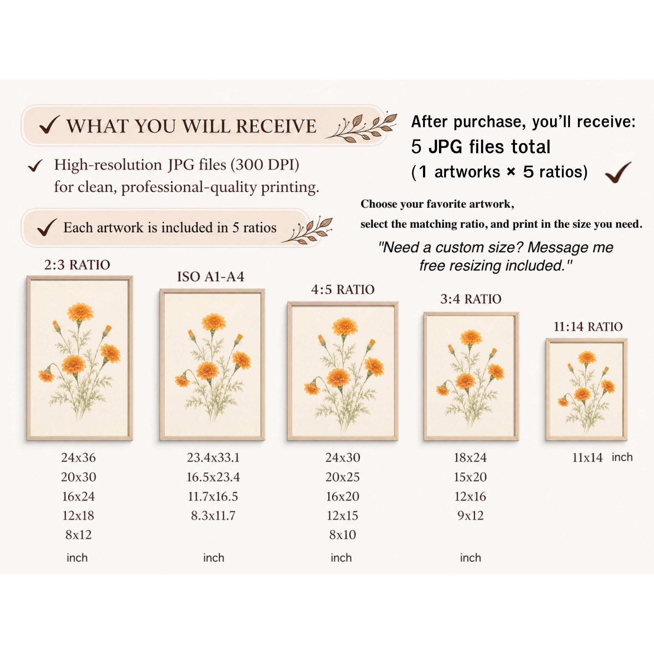 Marigold Printable Wall Art | October Birth Flower Print | Orange Botanical Gift Decor Digital Download — image 9