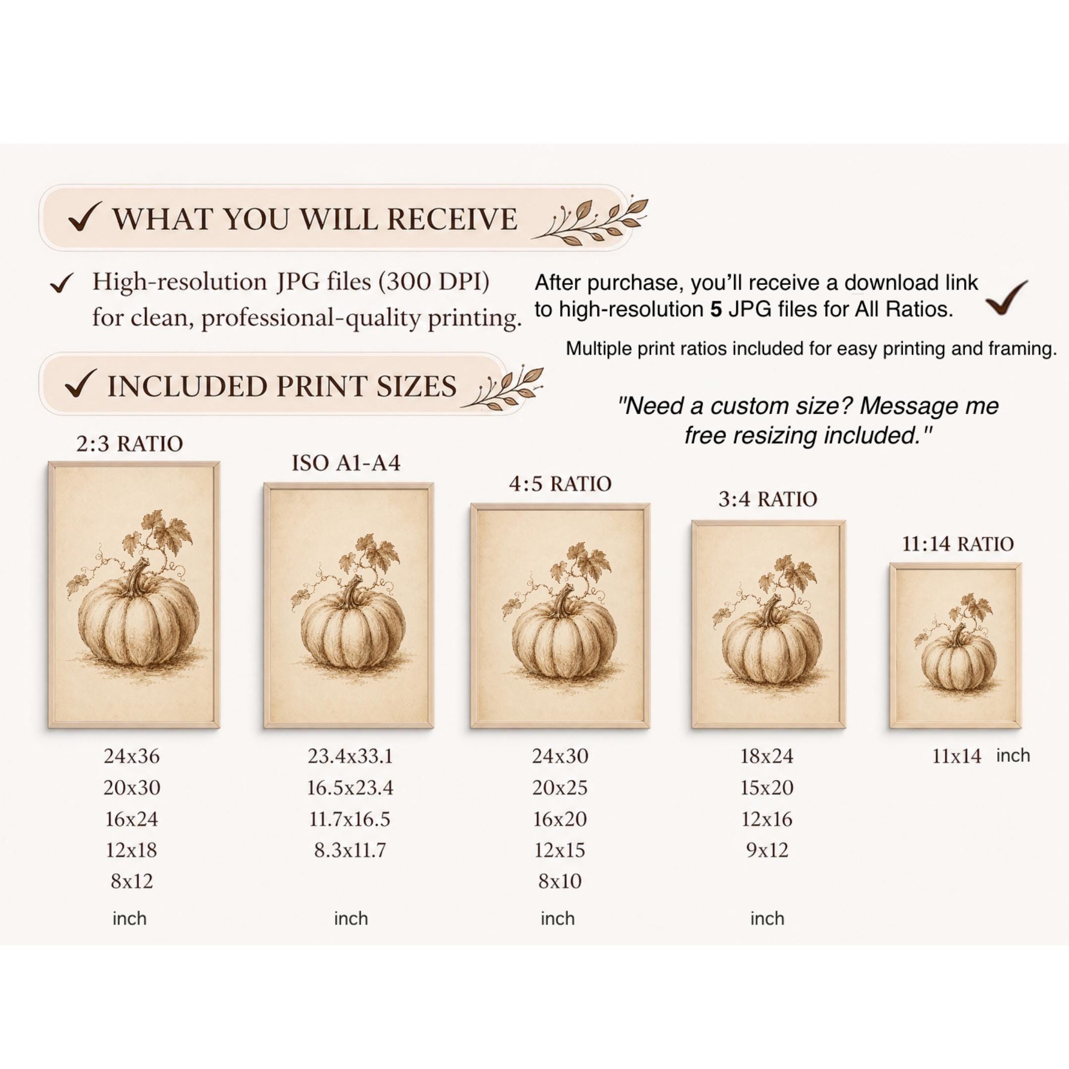 Vintage Pumpkin Sketch Print, Neutral Botanical Autumn Wall Art (Digital Download) — image 8