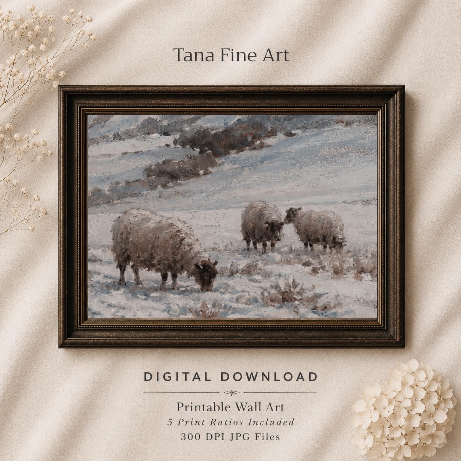 Three Sheep in the Winter Field