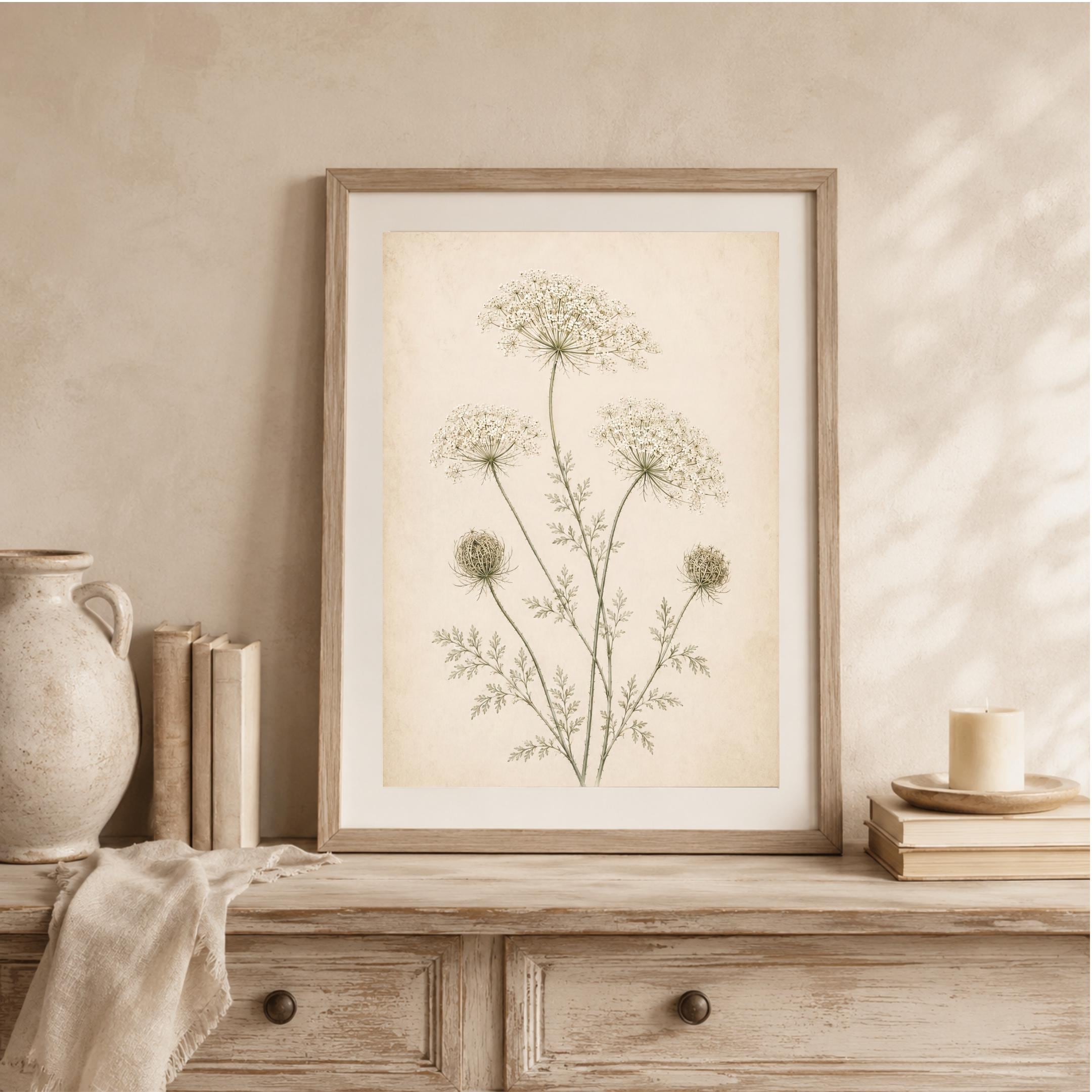 Queen Annes Lace Print, Vintage Botanical Prints, Neutral Floral Wall Art (Digital Download) — image 9