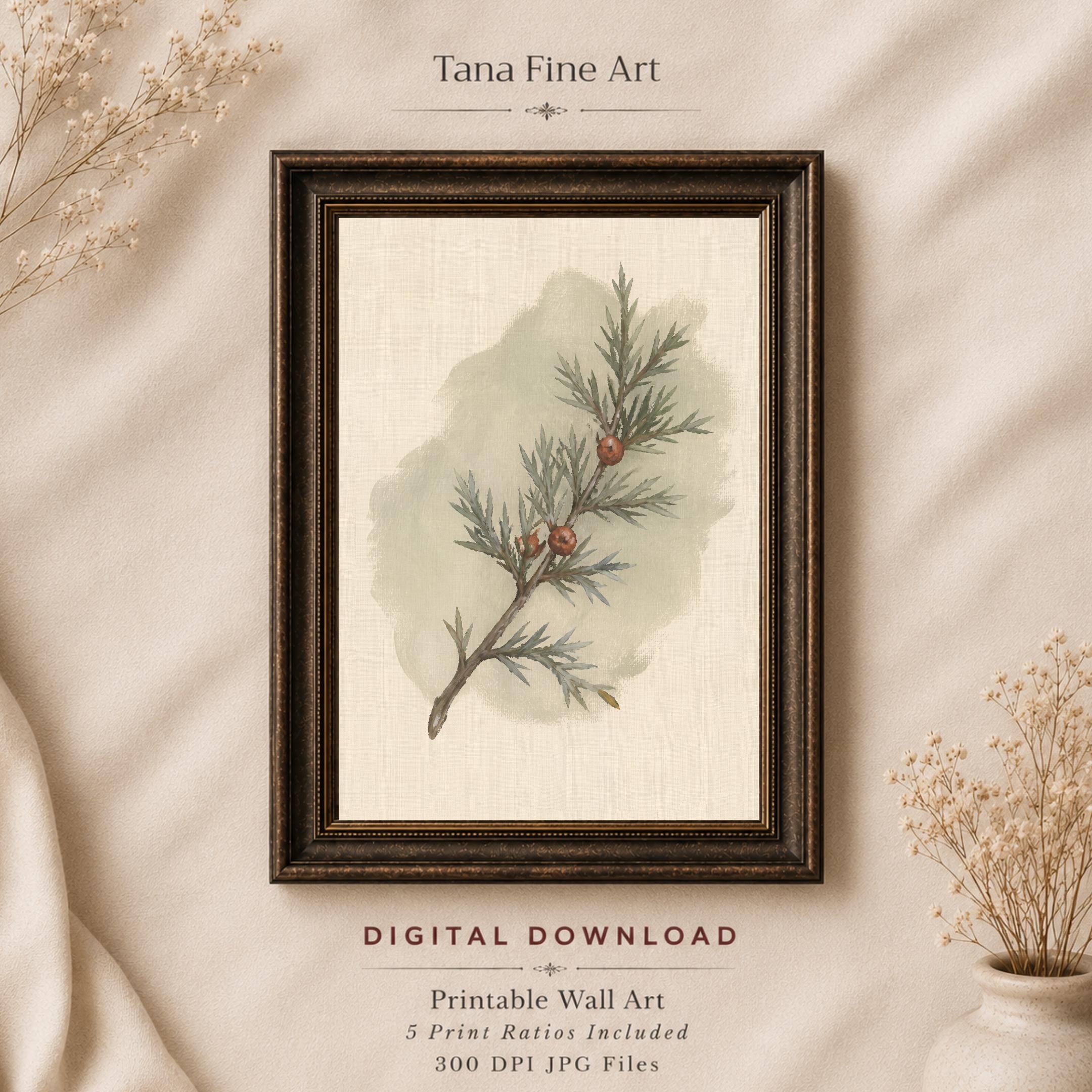 Winter Botanical Wall Art | Evergreen Branch Print | Vintage Nature Digital Download — image 5