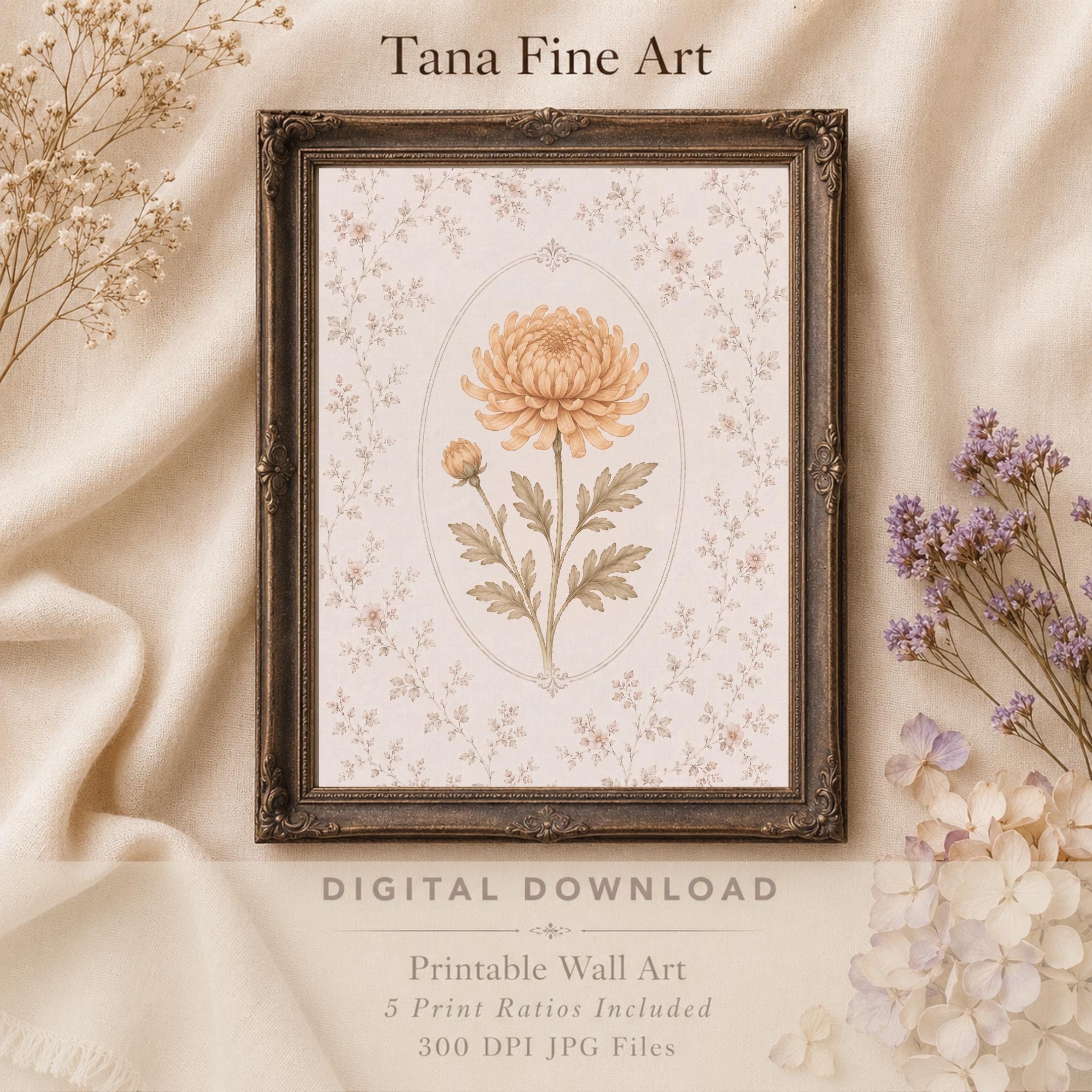 November Birth Month Flower Print | Chrysanthemum Printable Wall Art | Vintage Botanical Gift Digital Download — image 3