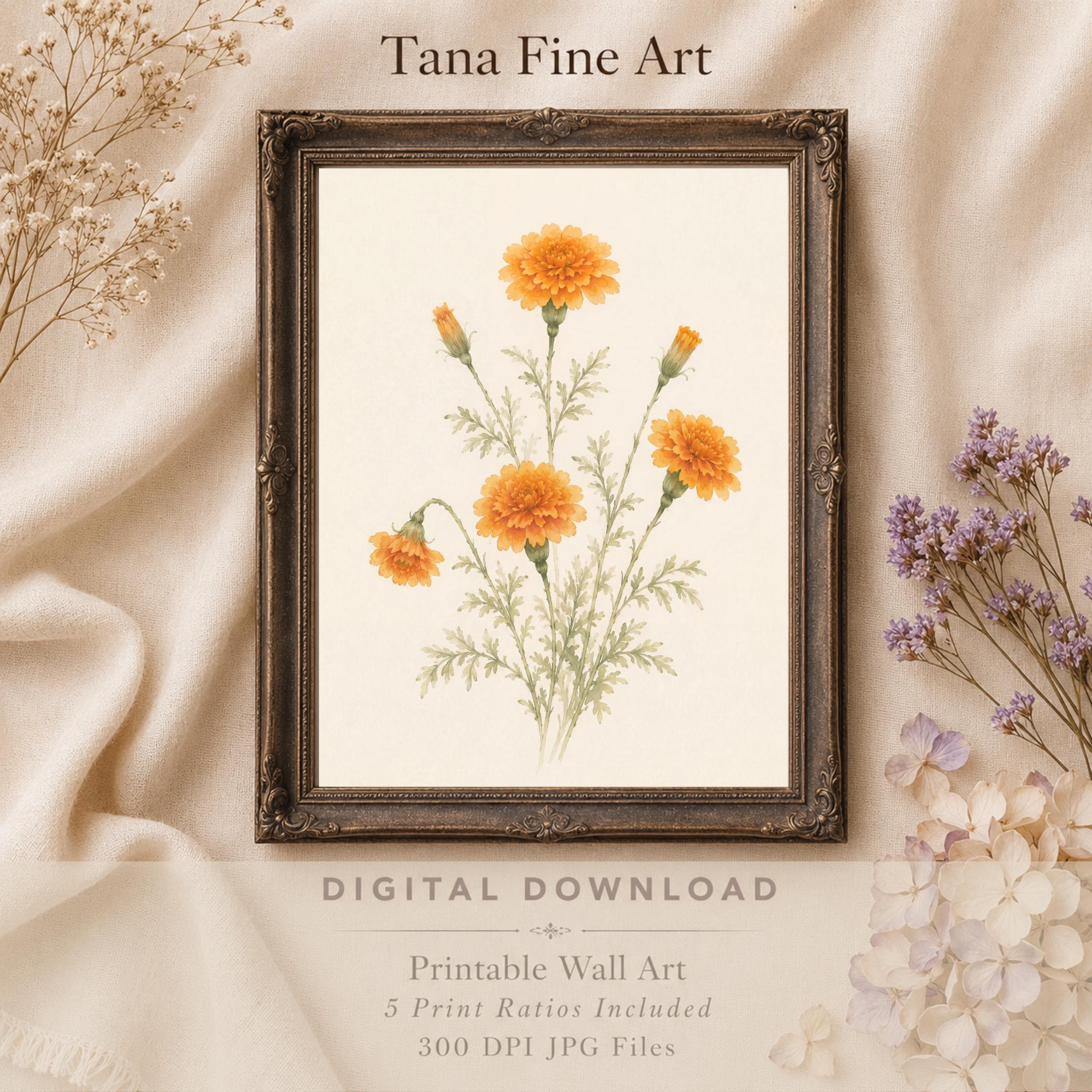 Marigold Printable Wall Art | October Birth Flower Print | Orange Botanical Gift Decor Digital Download — image 8