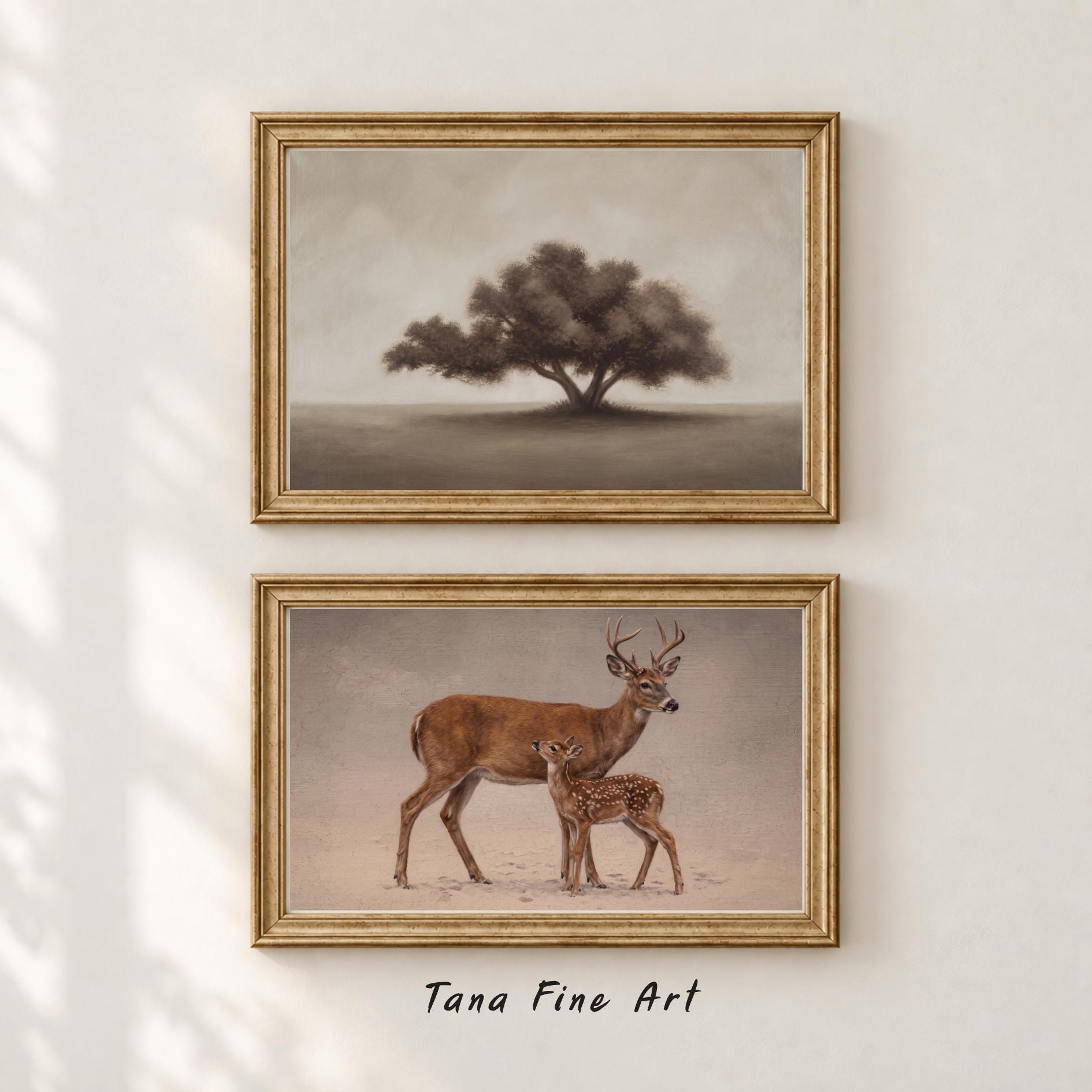 Still Lakes & Country Gardens — Set of 9 — image 3