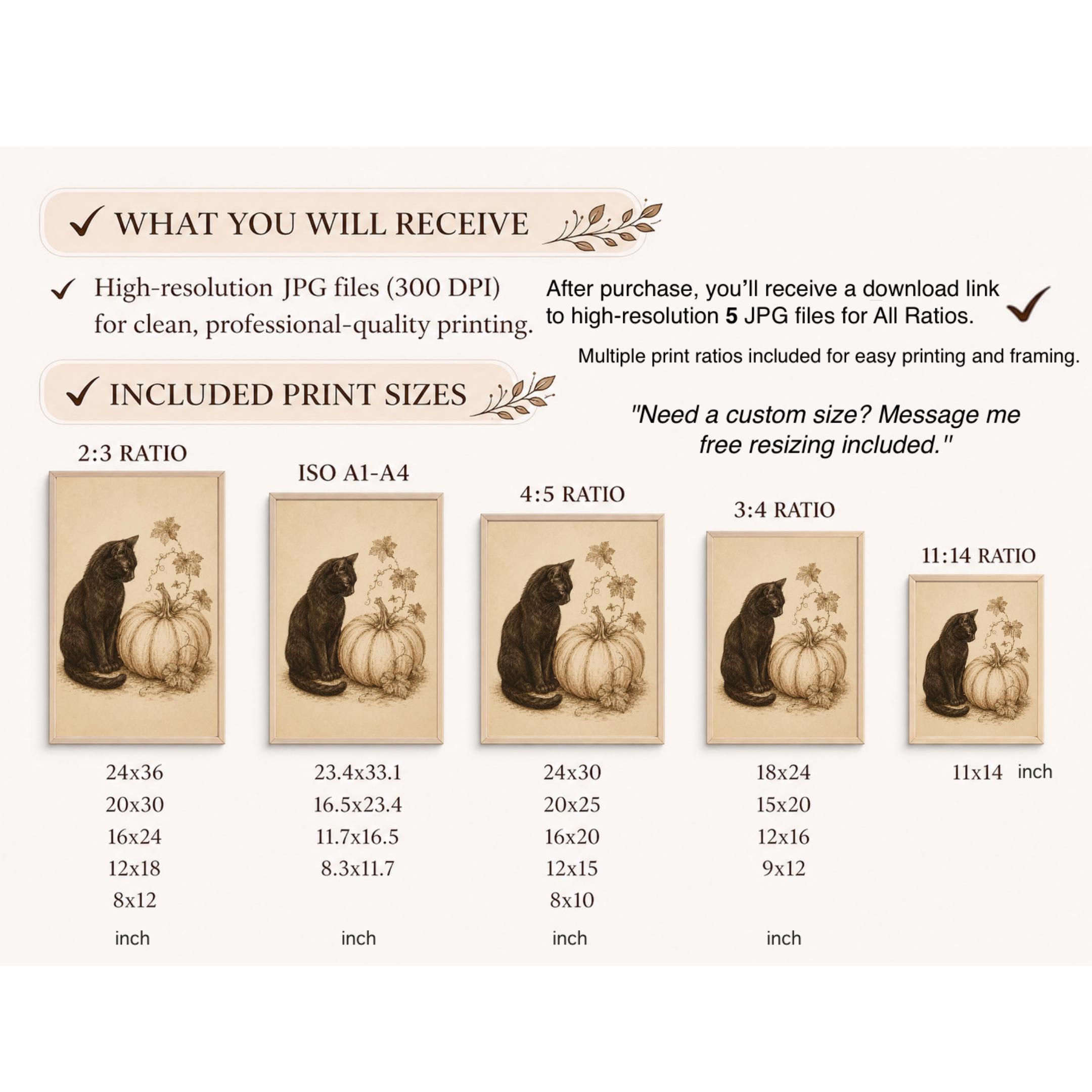 Halloween Black Cat, White Pumpkin Art, Vintage Fall Botanical, Rustic October Halloween Digital Download — image 10