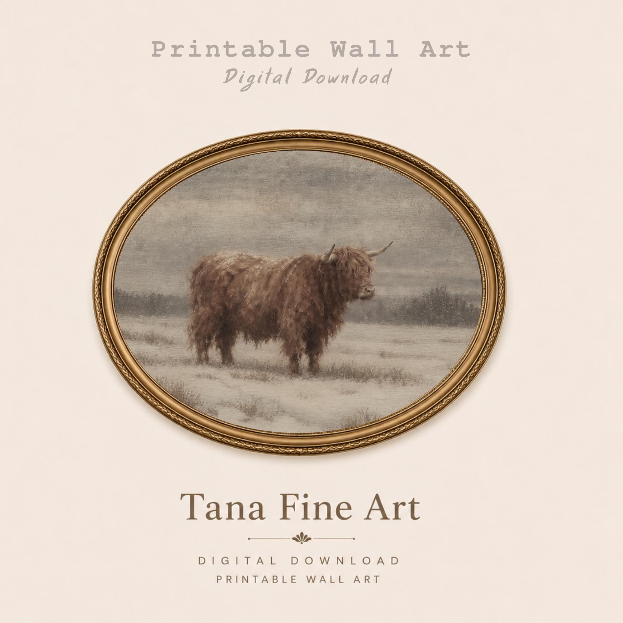 Highland Cow in a Winter Field — image 3
