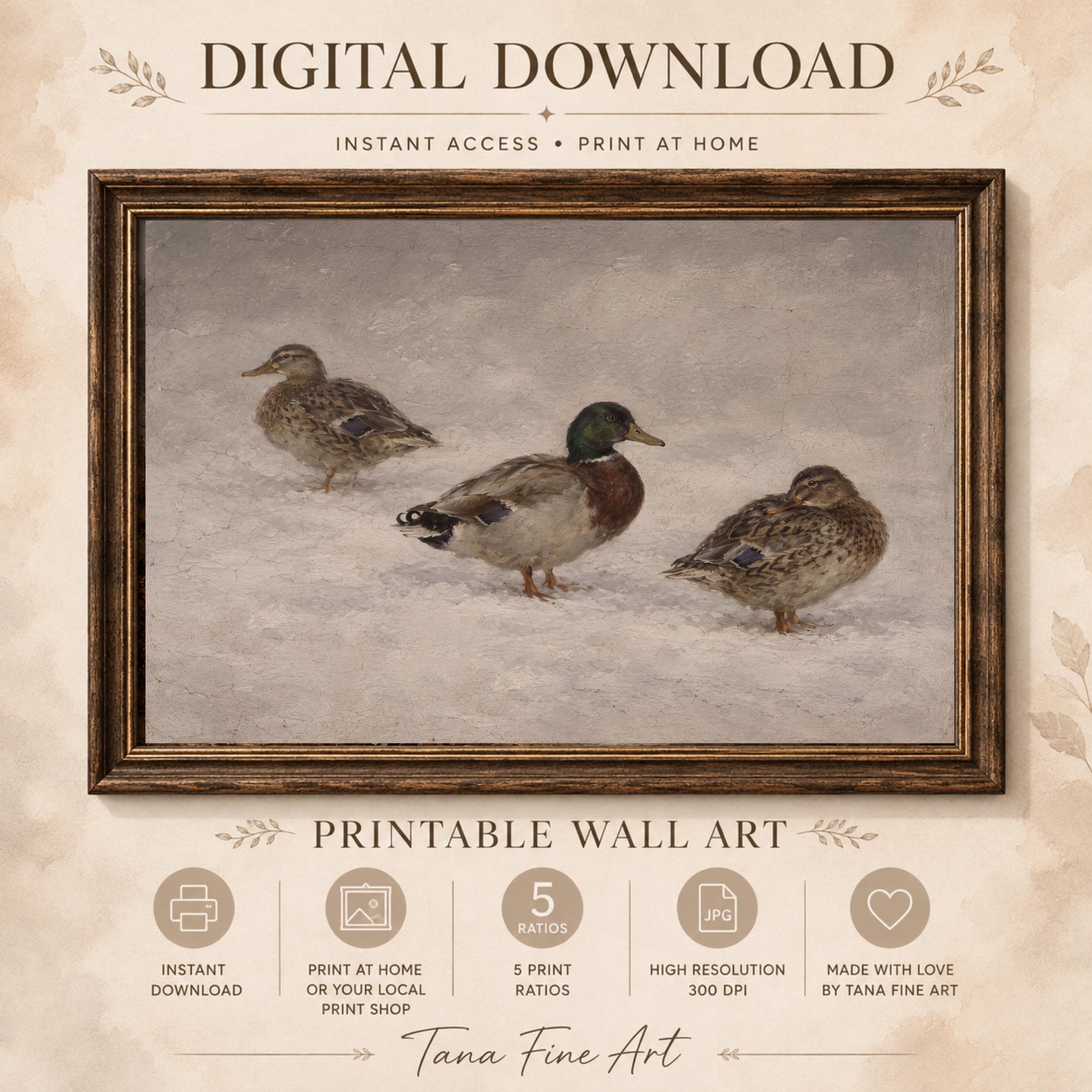 Three Mallards on the Snow — image 8