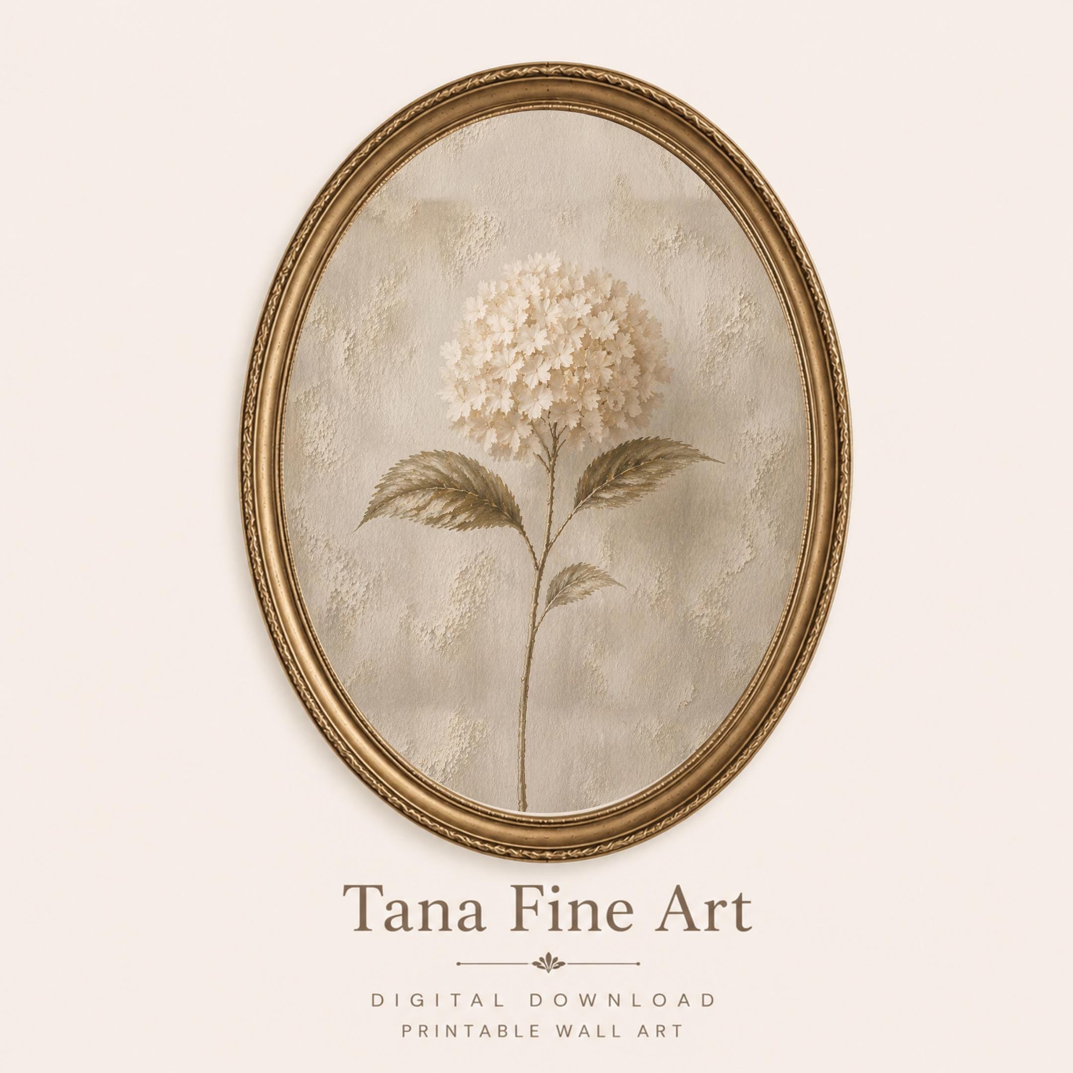 Pale Hydrangea Botanical Studies — Set of 3 — image 5