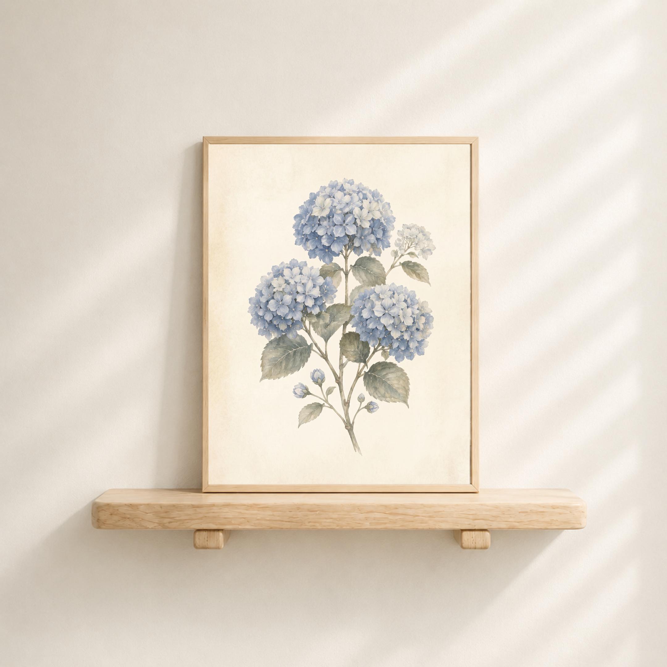 Blue Hydrangea Print, Vintage Botanical Prints, Watercolor Floral Wall Art, Cottage Decor (Digital Download) — image 4