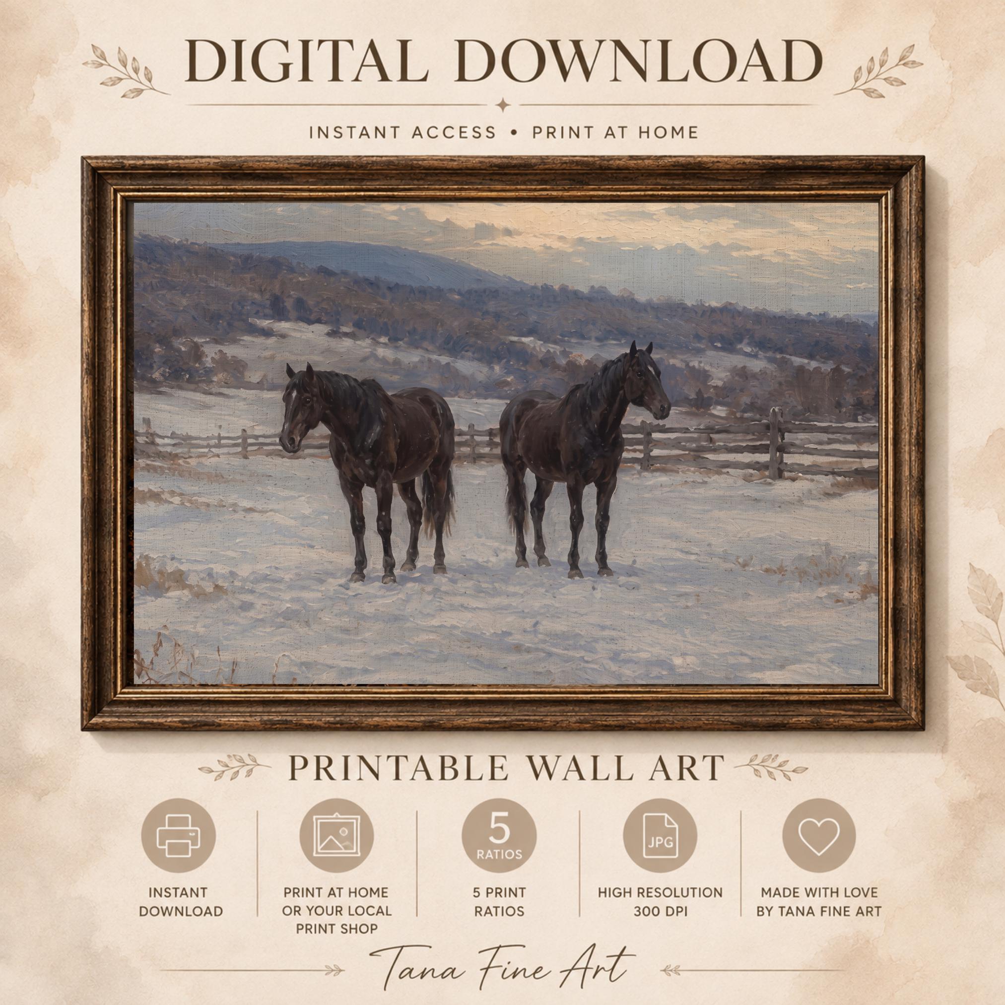 Two Dark Horses in the Snow — image 7
