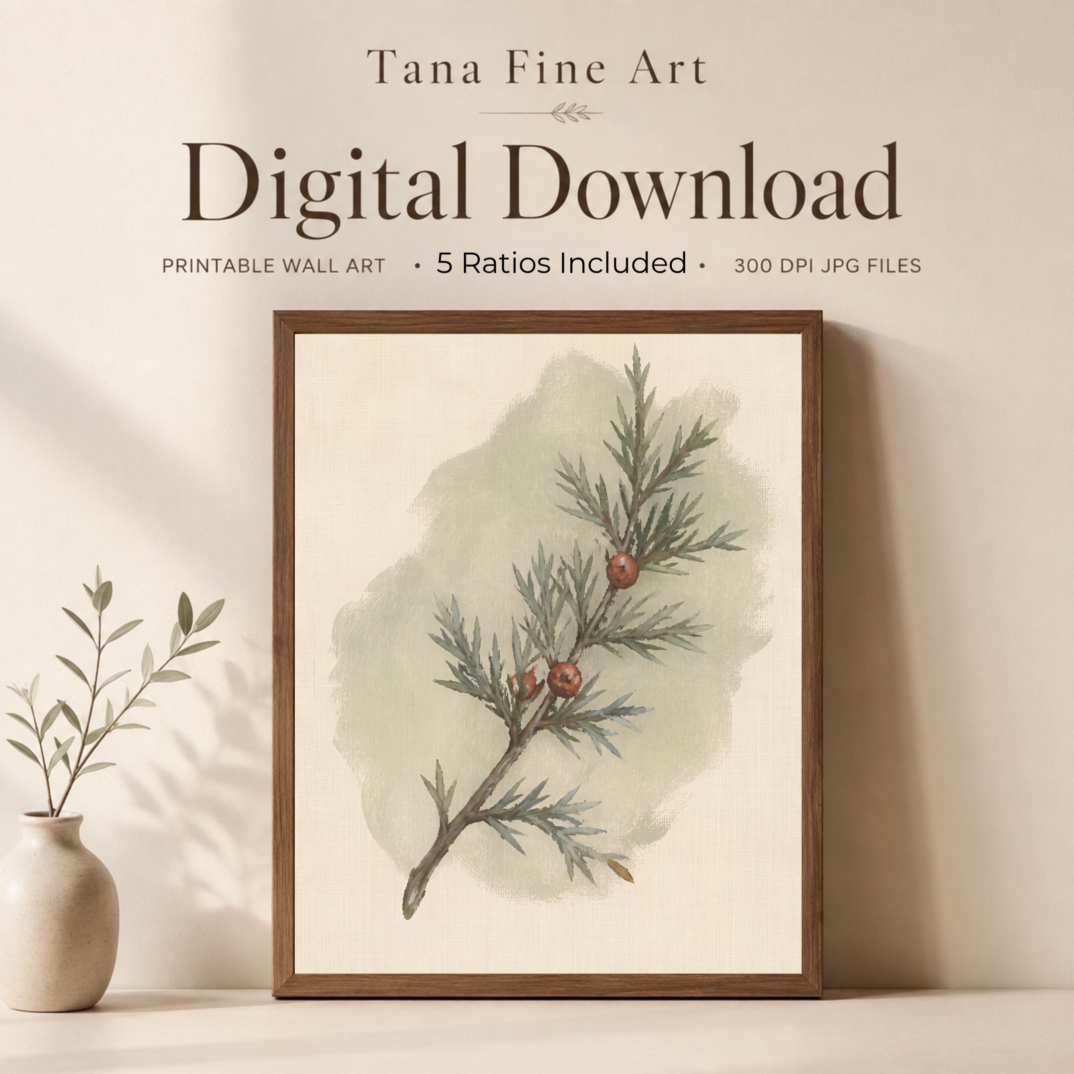 Winter Botanical Wall Art | Evergreen Branch Print | Vintage Nature Digital Download