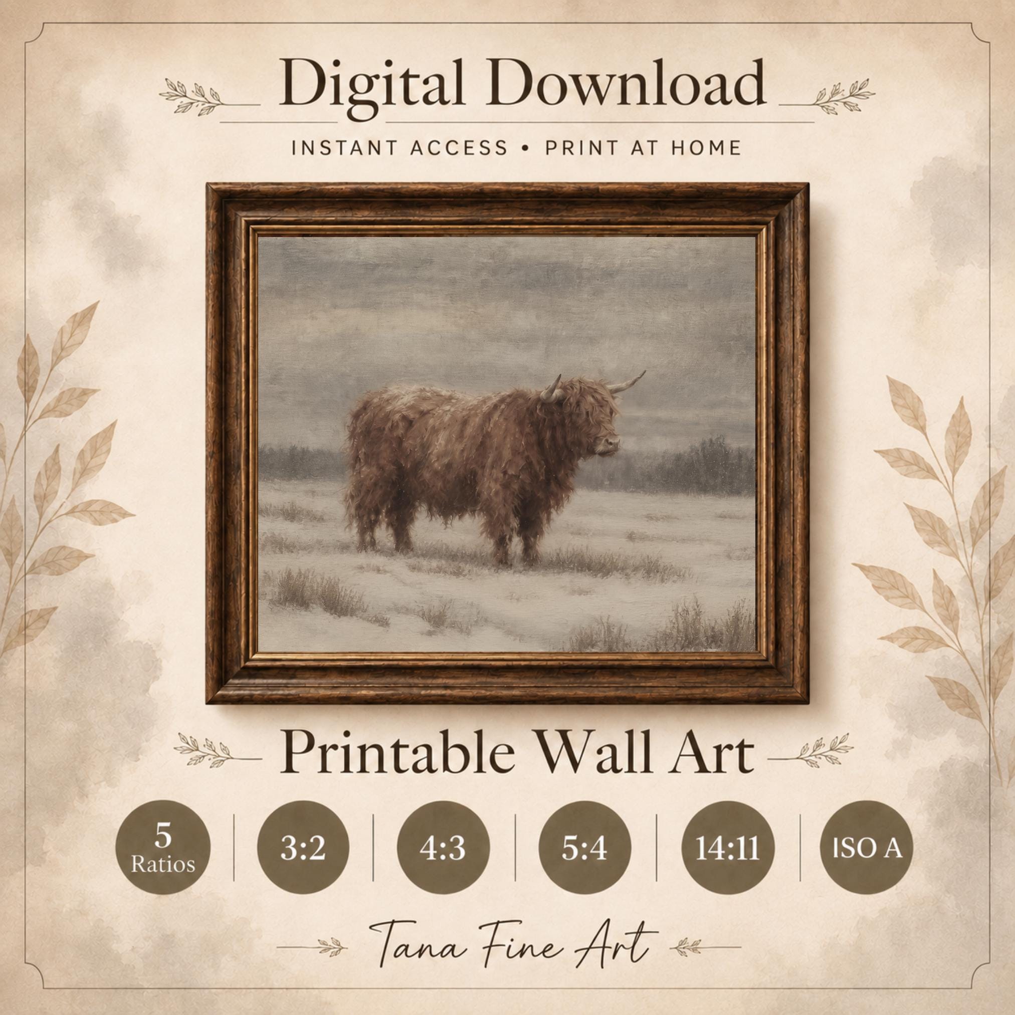 Highland Cow in a Winter Field