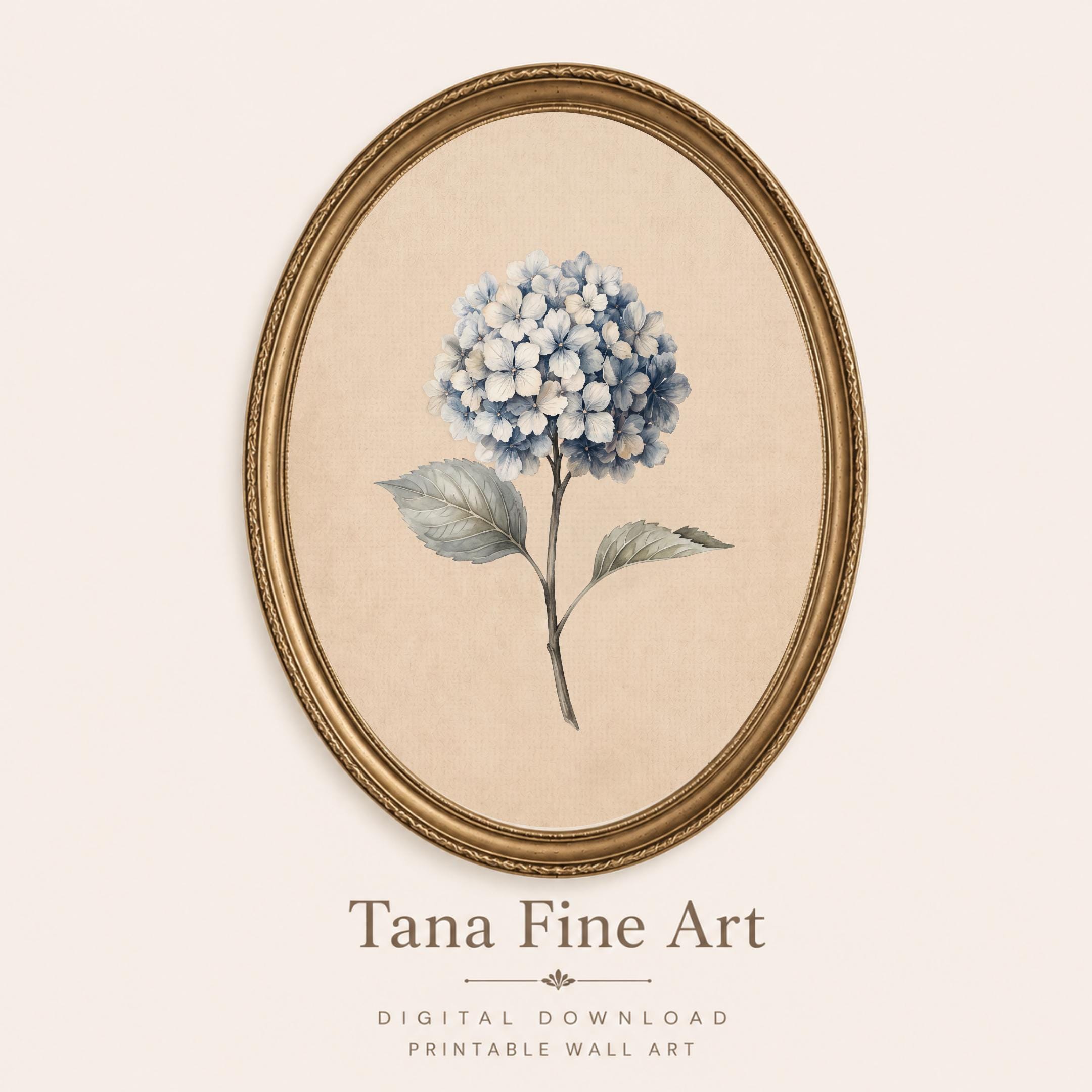 White Blue Hydrangea Wall Art | Vintage Winter Botanical Floral Print | Cottage Decor Digital Download