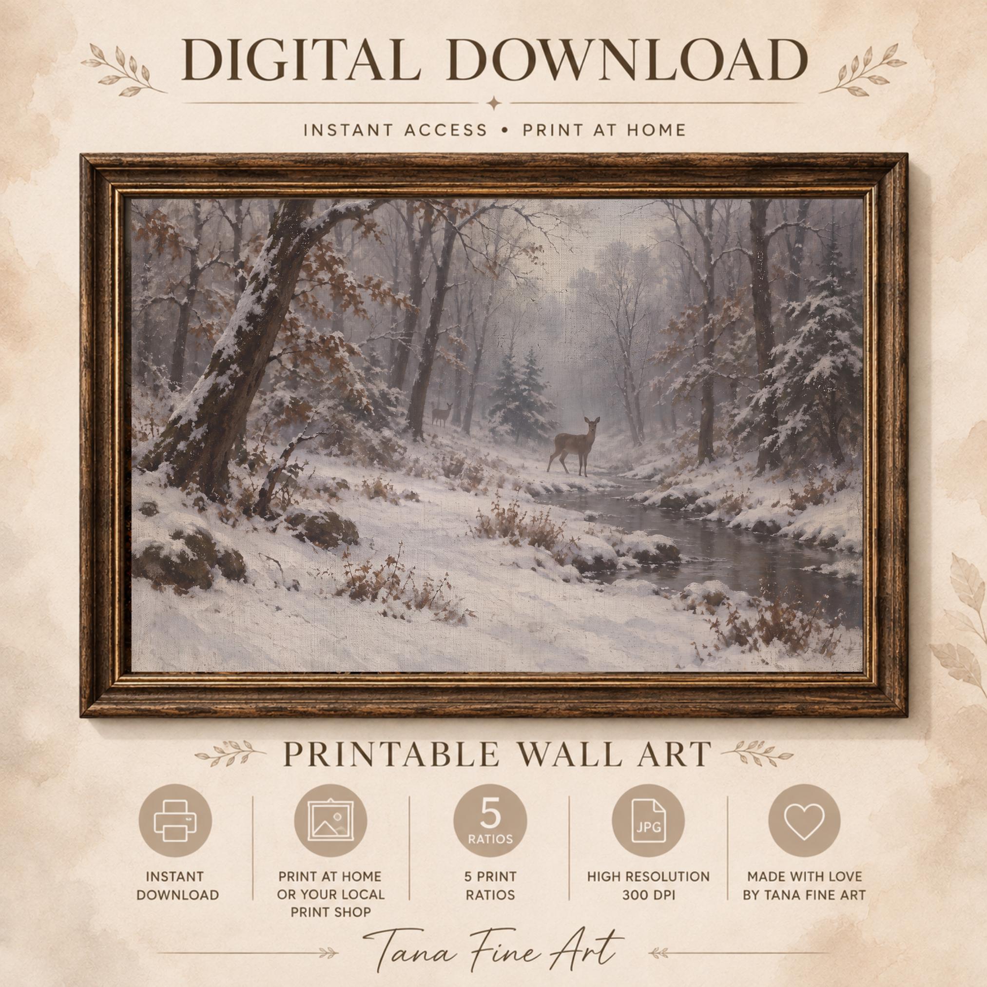 Deer beside the Snowy Forest Stream — image 5