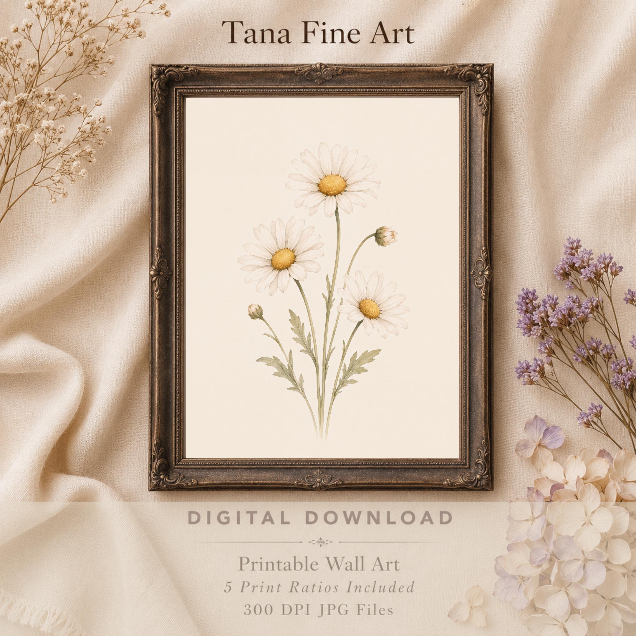 April Birth Flower Print | Daisy Printable Wall Art | White Botanical Gift Decor Digital Download — image 9