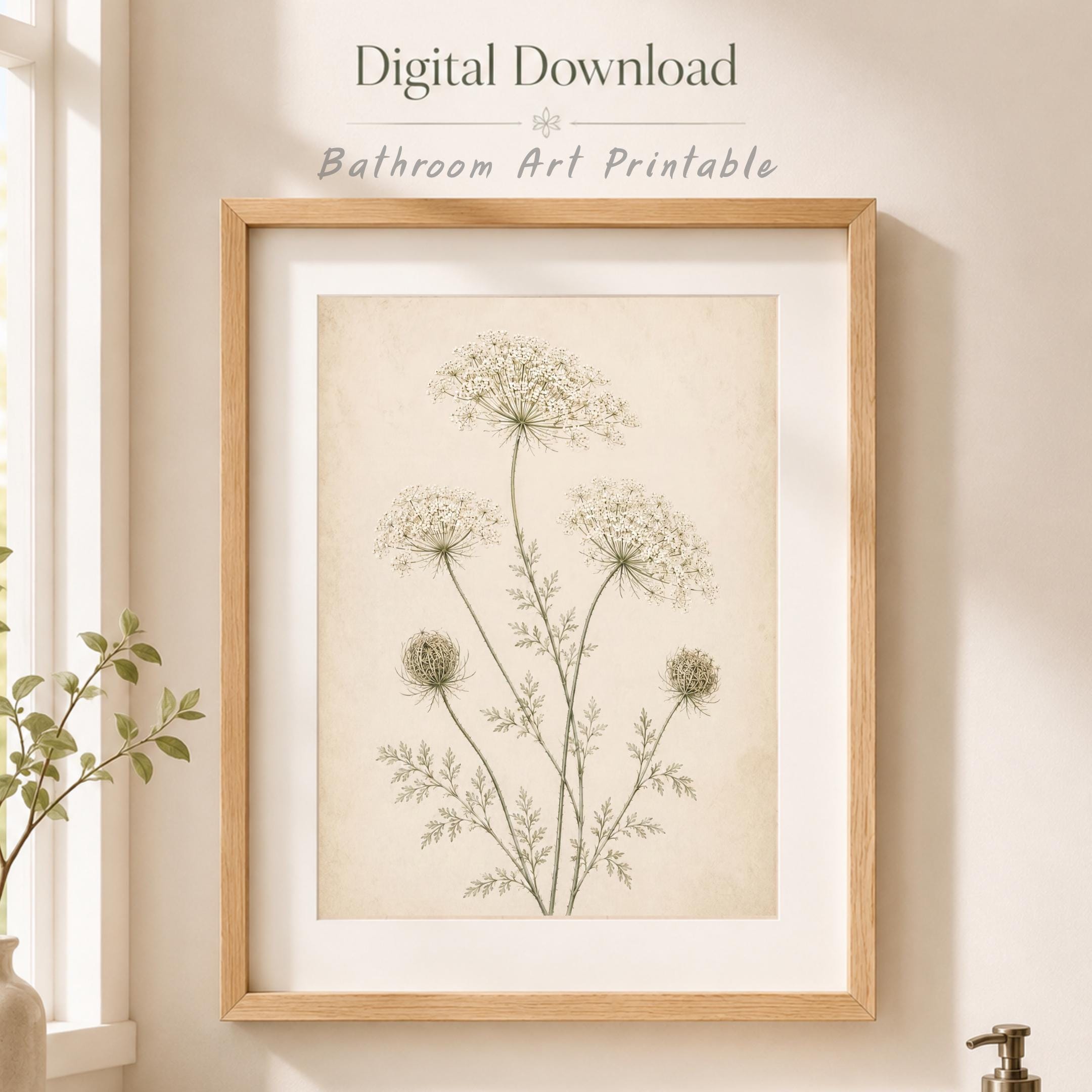 Queen Annes Lace Print, Vintage Botanical Prints, Neutral Floral Wall Art (Digital Download) — image 10