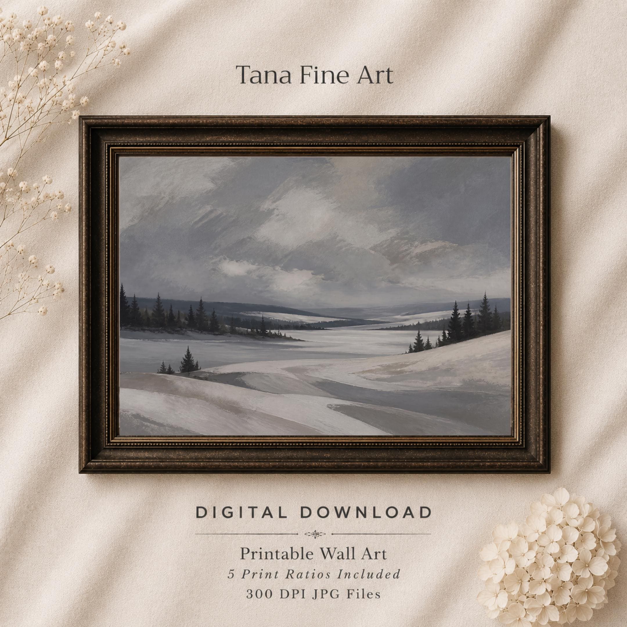 Open Snowfields beside the Quiet Lake