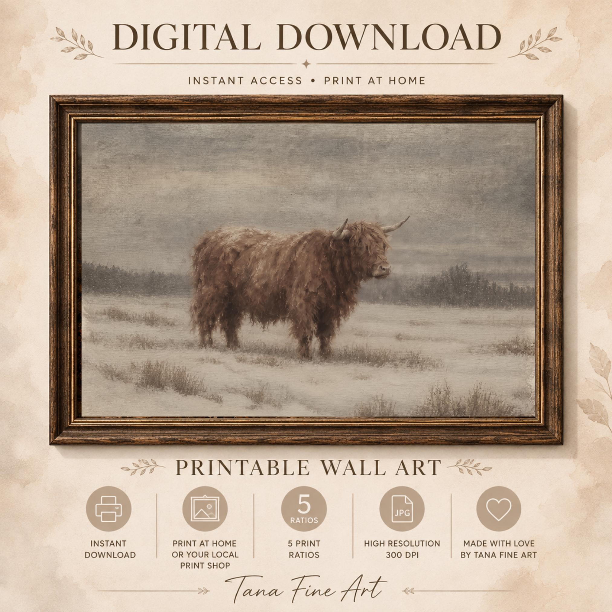 Highland Cow in a Winter Field — image 8