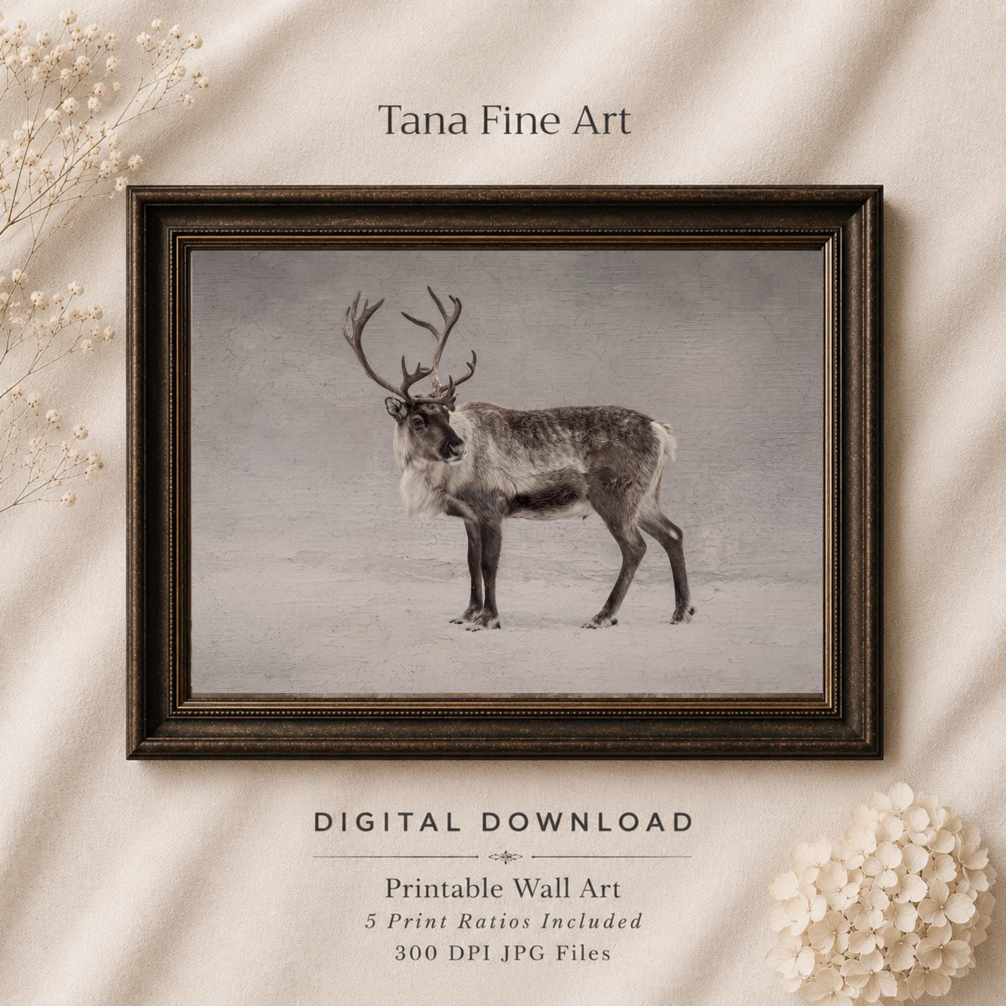 Reindeer against a Pale Winter Sky — image 8