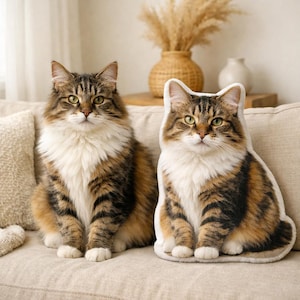 May include: A fluffy brown, black, and white cat sits next to a cat-shaped pillow with a similar design. Both cats have green eyes and are on a beige couch. A vase with dried plants is in the background.