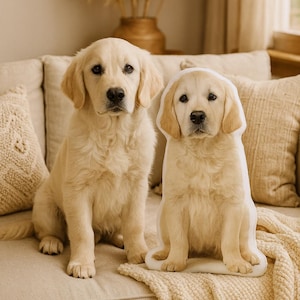 Dog Custom Pillow – Personalized Pet Plush Made From Your Photo, Perfect for Golden Retriever Lovers