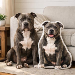 May include: A blue and white pit bull dog sits next to a dog-shaped pillow with a similar design. The dog is sitting on a rug in front of a gray couch. The pillow has a white border and a smiling dog face.