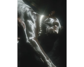 Panther Aesthetic Poster