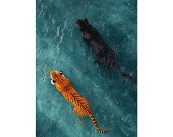 Panther Tiger Swimming Art Print (Matte, Semi-Glossy, Fine Art)