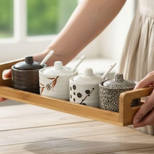 Japanese Ceramics Spice Jars, Salt Cellar with Lid, Salt and Pepper Shakers, Herb Container Kitchen Seasoning Organizer