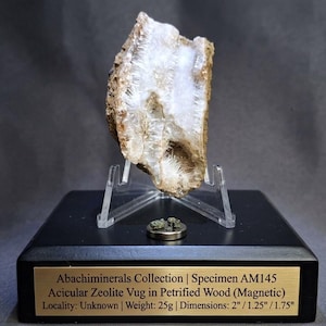 May include: A specimen of acicular zeolite vug in petrified wood, mounted on a clear stand atop a black base. The plaque reads: Abachiminerals Collection | Specimen AM145, Acicular Zeolite Vug in Petrified Wood (Magnetic), Locality: Unknown, Weight: 25g, Dimensions: 2" / 1.25" / 1.75".