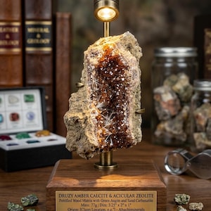 May include: A druzy amber calcite and acicular zeolite specimen on a petrified wood matrix, mounted on a brass stand with an integrated light. A brass plaque displays the text: DRUZY AMBER CALCITE & ACICULAR ZEOLITE, 77g, 3.25" x 2" x 1".