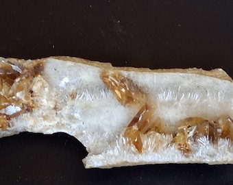 Rare Petrified Wood with Zeolite & Calcite - Volcanic Pipe Specimen - Magnetic - 164g