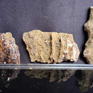 5 Pc Petrified Wood Mineral Lot – Amber Calcite, Zeolite, Augite, Magnetic Matrix (105g)