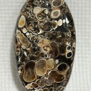May include: An oval-shaped polished cabochon stone featuring a complex pattern of dark brown and black matrix interspersed with numerous light tan and cream-colored circular and irregular fossilized shell inclusions throughout the surface.