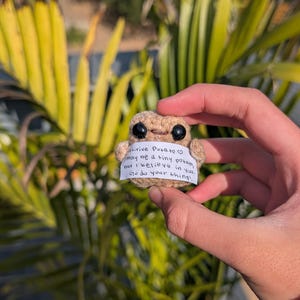 May include: A small, crocheted potato with black button eyes and a smiling mouth. A small white tag reads "Positive Potato may be a tiny potato, but I believe in you. Go do your thing!" The potato is held in front of a background of green leaves.