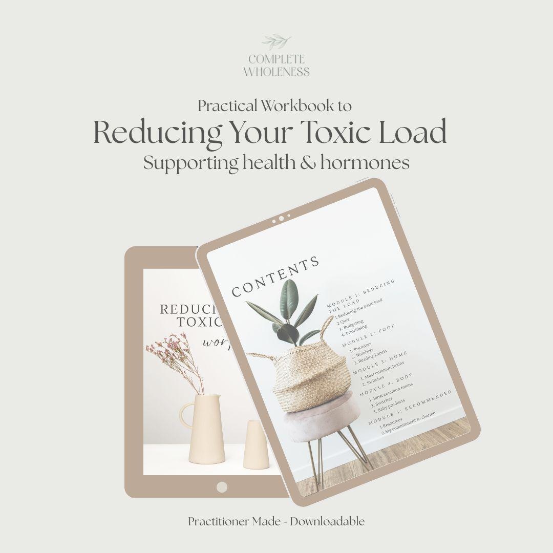 Reducing Your Toxic Load - Step by Step Guide to Going Low-tox - Etsy ...