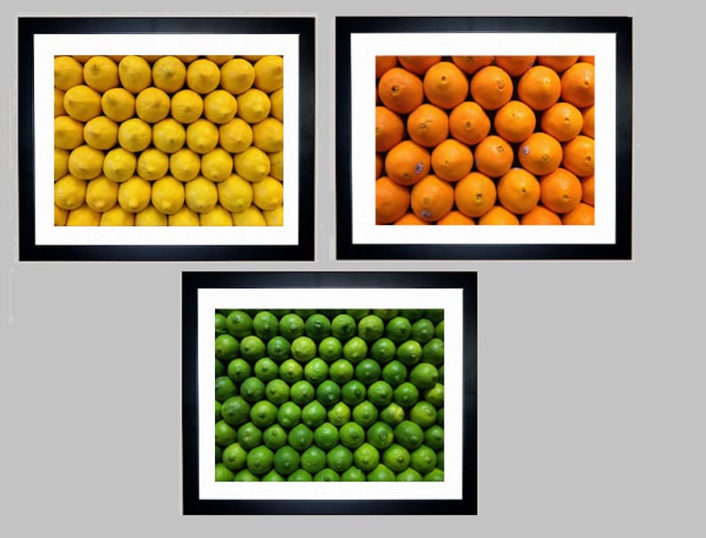 Set of 3 Citrus Fruit Art Print Kitchen Decor Bar Decor Food Etsy