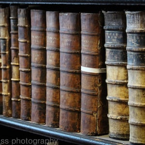 Vintage Photo Antique Old Leather Bound Books Photography Art Print Trinity College Library Long Room Dublin Ireland Rustic Home Decor