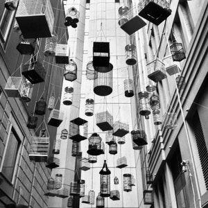 Black and White Bird Cage Art Print Angel Place Sydney Australia Photography Modern Industria Dreamyl Rustic Home Decor