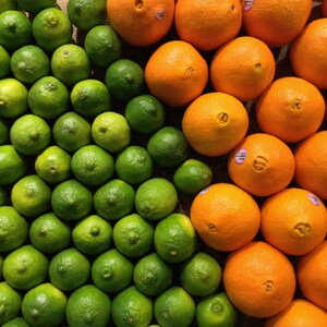 Kitchen Decor, Bar Decor, Food Photography, Fruit Print, Citrus Print, Oranges, Limes, Kitchen Art Print