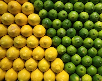 Lemon Lime Art Photo, Kitchen Decor, Bar Decor, Fruit Print, Citrus Print, Lemon Art Print, Lime Art Print, Fruit Photography