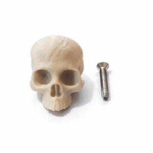 May include: A small, off-white skull figurine with visible eye sockets and nasal cavity, positioned next to a silver screw. The skull is a detailed miniature, likely for decorative or novelty purposes.