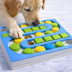 Pu&ograve; includere: Un giocattolo puzzle per cani blu chiaro e bianco con pezzi circolari e quadrati gialli, verdi e blu. Un cane marrone interagisce con il puzzle, zampa sul giocattolo. Il puzzle ha pi&ugrave; scomparti per le leccornie.